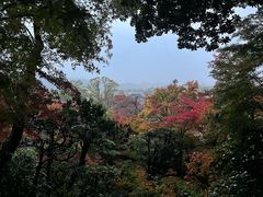 -常寂光寺