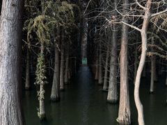 -捞渔河湿地公园