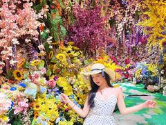 -正佳雨林生态植物园