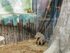 -大连圣亚海洋世界