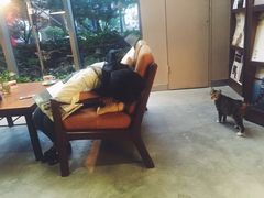 -那美(华莱坞店)