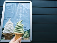-岚山嵯峨野观光小火车