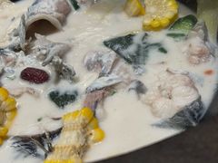-鲜潭蒸汽石锅鱼(五道口购物中心店)