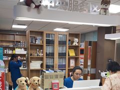 -奈斯宠物医院·核磁CT·异宠专科·内镜(中南店)