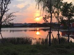 -上海长兴岛郊野公园