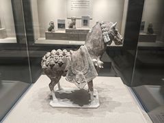 -太原市博物馆