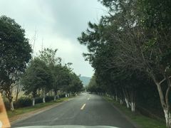 -湾里人家(旺山景区店)