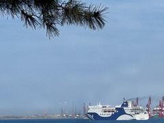 -悦海公园