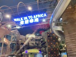 -卡通尼·Safari非洲探索乐园·生日会(金桥国际商业广场店)
