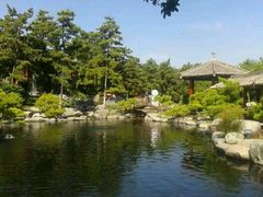 android_upload_pic-中国唐苑