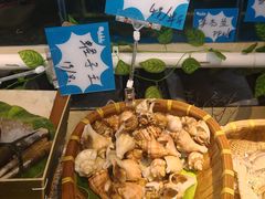 大连本地螺-黄寺蒸汽海鲜(黄寺大街店)