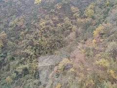-秦岭天竺山景区