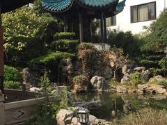 -華僑飯店中餐厅