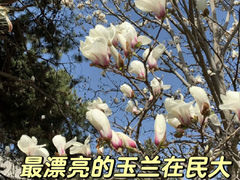 -中央民族大学