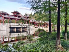 -重庆彩云湖湿地公园