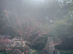 -菊花台公园