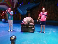 -烟台海昌鲸鲨海洋公园