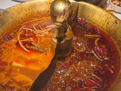 -小龙翻大江文化火锅(宽窄店)