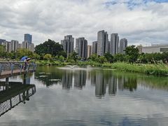 -牛岗山公园