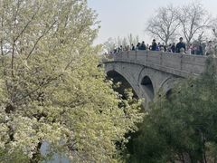-赵州桥景区