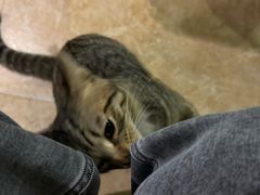 -逃脱反斗城沉浸剧情密室(北京路店)