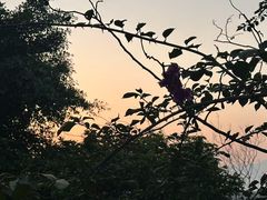 -福道