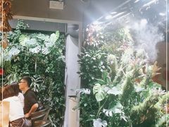 -森味薪火烧•烧鸟居酒屋•日本料理(望京店)