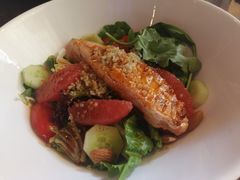 -bluefrog蓝蛙(水游城店)