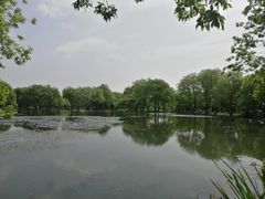 -弄堂里· 江南名肴(西湖龙井路店)