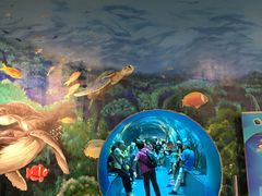 -乐从天佑城海洋馆