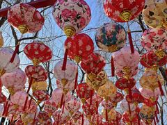 -河北省园博园