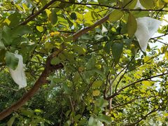 -中国移动南方基地