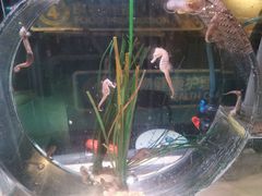 -沈阳海洋探索中心