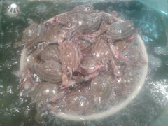 iphone_upload_pic-金沙滩海鲜餐厅(梅江龙水园店)