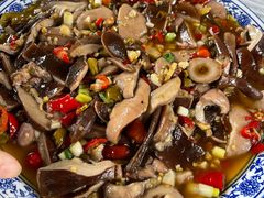 -铁山坪森林公园