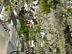 -燕庭·纯燕窝·甜品下午茶(南京西路店)