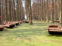 -渌洋湖湿地公园