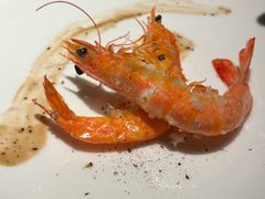 -拉蒂娜·巴西牛排馆 Latina·Brazilian Steakhouse(王府井喜悦店)