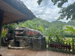 -野象谷景区