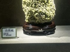 -北京中医药大学-中医药博物馆