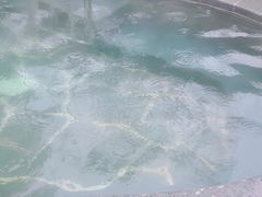 -天屿湖