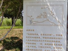 -莲花池公园