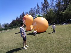 -前小桔亲子创意农场·草莓采摘·露营烧烤