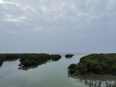 -北海金海湾红树林生态旅游区