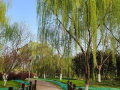 -尚贤河湿地