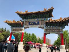 -曹州牡丹园
