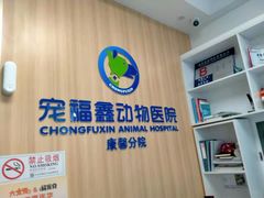-宠福鑫康馨动物医院·骨科·眼科