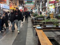 -西归浦每天偶来市场
