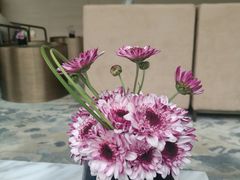 -福州泰禾铂尔曼酒店·大堂酒廊