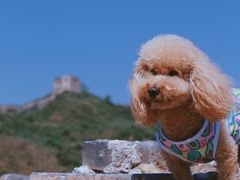 -蟠龙山长城景区